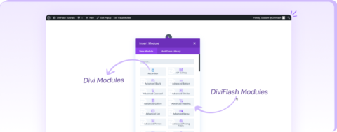 Popup Overview - DiviFlash Docs