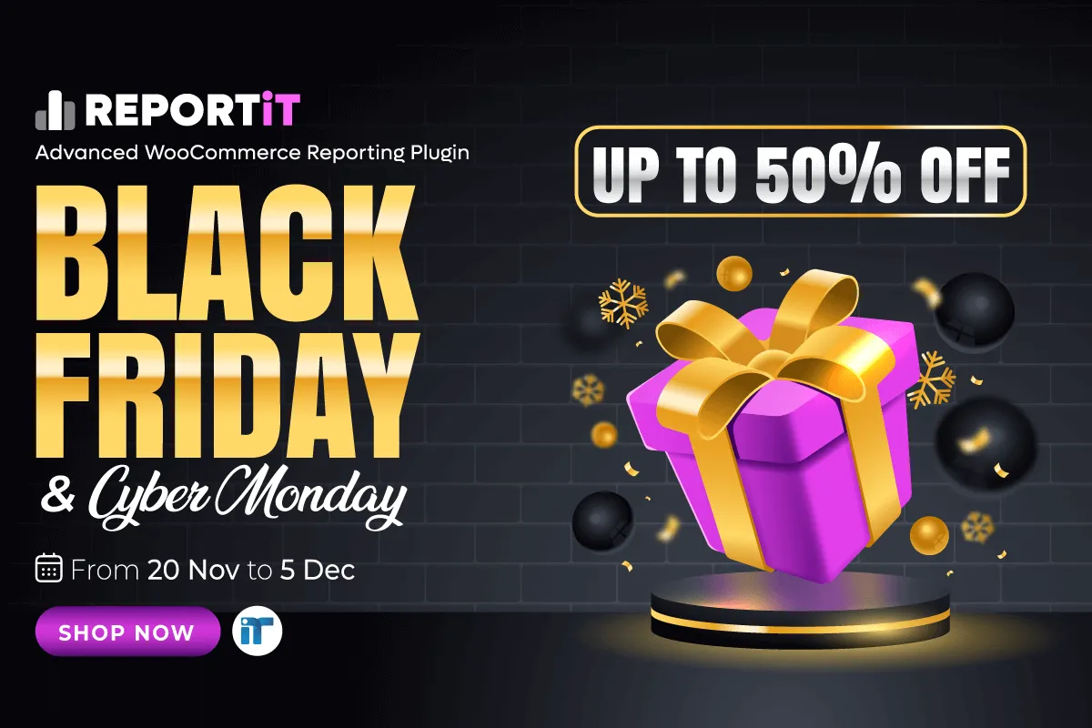 REPORTiT Black Friday Deal 2025