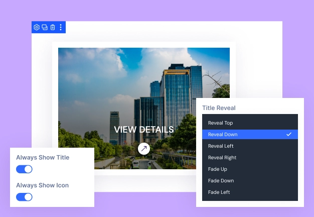 divi-image-hover-title-icon-options Divi Image Hover Module Title and Icon Hover Effects with Animation and Placement Controls