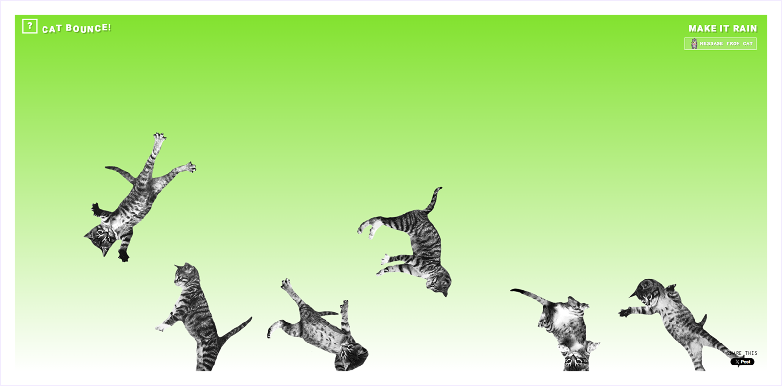 Cat Bounce